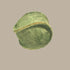 Georgie Paws ECO-FRIENDLY Dog Ball
