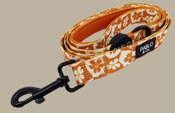 Pablo & Co. RETRO DAZIE Dog Leash