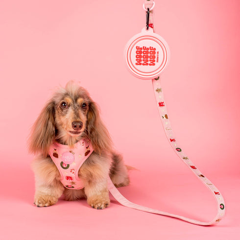A fluffy, light brown dachshund with long ears sits on a pink backdrop, wearing a cute pink harness adorned with a cupcake pattern. Next to the dog is a matching pink leash, highlighting a playful and stylish pet accessory theme.