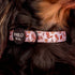Pablo & Co. HOWDY Dog Collar