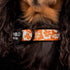 Pablo & Co. RETRO DAZIE Dog Collar