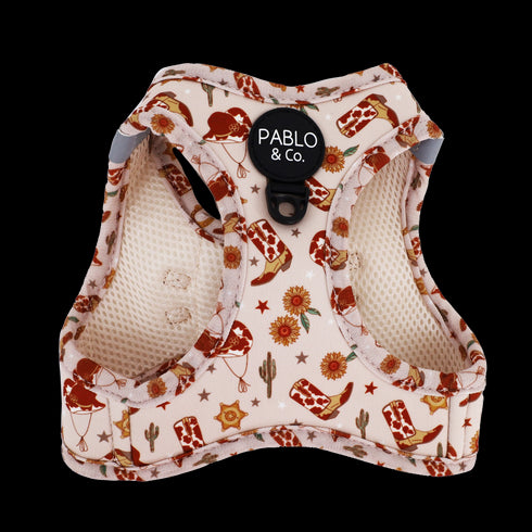 PABLO & CO. CAT STEP IN HARNESS