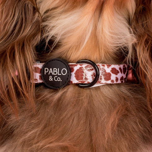 Pablo & Co. RODEO Dog Collar