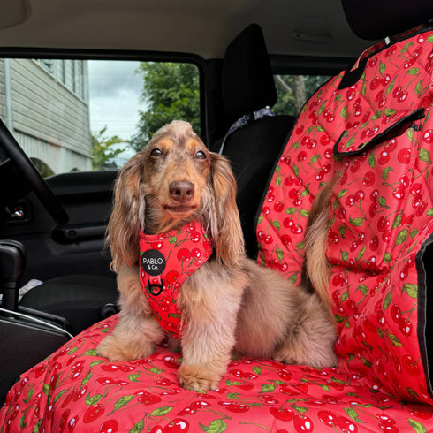 Pablo & Co. CHERRY Deluxe Single Car Seat Cover