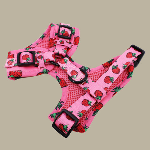 Pablo & Co. STRAWBERRIES Adjustable Dog Harness