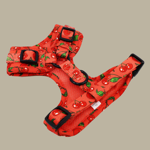 Pablo & Co. CHERRY Adjustable Dog Harness