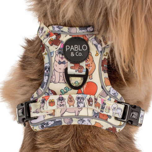 Pablo & Co. PARTY DAWGS No Pull Adventure Dog Harness