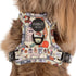 Pablo & Co. PARTY DAWGS No Pull Adventure Dog Harness