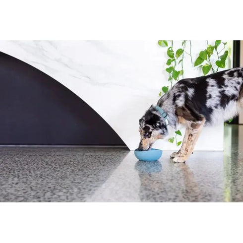 FUZZYARD LIFE SILICONE BOWL - FRENCH BLUE