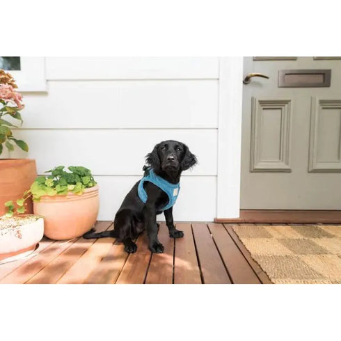 FUZZYARD LIFE CORDUROY STEP IN HARNESS