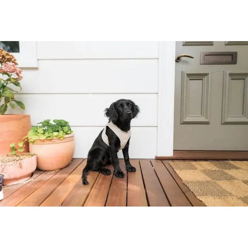 FUZZYARD LIFE CORDUROY STEP IN HARNESS