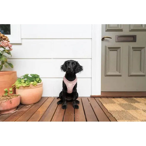 FUZZYARD LIFE CORDUROY STEP IN HARNESS