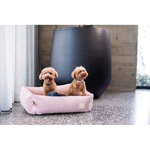 Two small, fluffy dogs are sitting happily in a soft pink corduroy pet bed, with one dog playfully holding a toy. The modern, minimalistic room features a large black planter and bright natural light filtering through sheer curtains.
