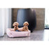 Two small, fluffy dogs are sitting happily in a soft pink corduroy pet bed, with one dog playfully holding a toy. The modern, minimalistic room features a large black planter and bright natural light filtering through sheer curtains.