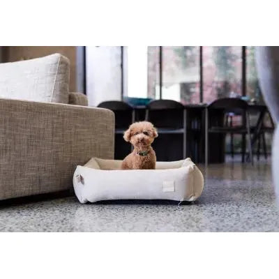 A small, fluffy dog sits comfortably in a cozy, light-colored pet bed positioned on a polished concrete floor, near a modern sofa. Natural light filters in through large windows, creating a warm and inviting atmosphere.