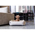 A small, fluffy dog sits comfortably in a cozy, light-colored pet bed positioned on a polished concrete floor, near a modern sofa. Natural light filters in through large windows, creating a warm and inviting atmosphere.