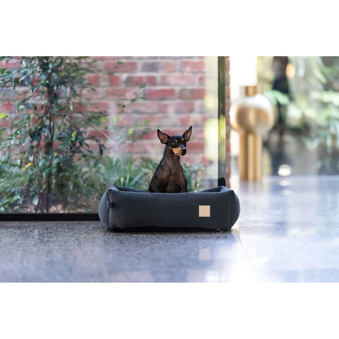 A small dog sits comfortably in a slate grey corduroy pet bed placed on a polished floor. The bed, featuring a simple design, complements the modern interior with greenery and natural light in the background.