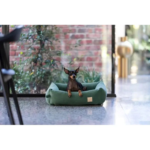 A small dog with upright ears is comfortably resting in a green corduroy pet bed, situated in a bright, modern room with large windows. Lush greenery is visible outside, creating a serene atmosphere.