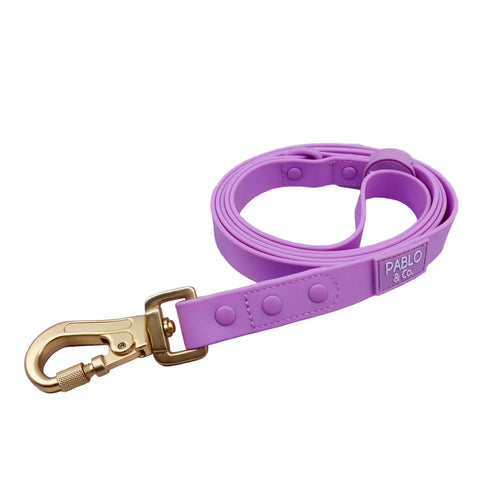 PABLO & CO. WATERPROOF LEASH