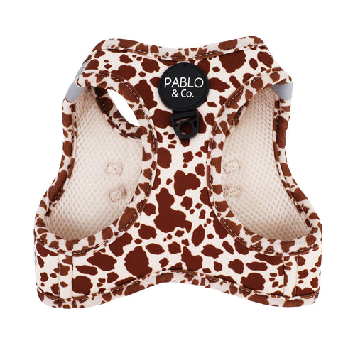 PABLO & CO. CAT STEP IN HARNESS