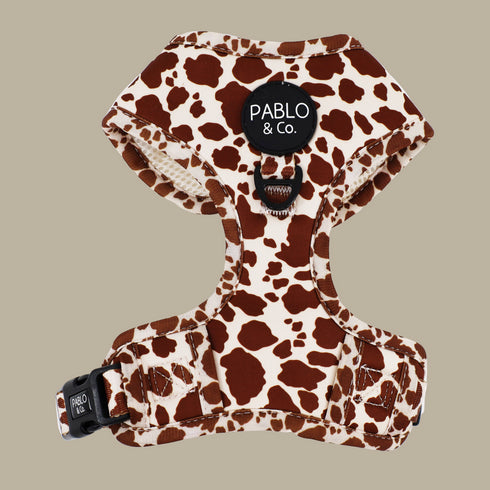 Pablo & Co. RODEO Adjustable Dog Harness