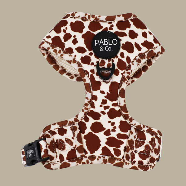 Pablo & Co. RODEO Adjustable Dog Harness