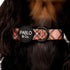 Pablo & Co. KENSINGTON Dog Collar
