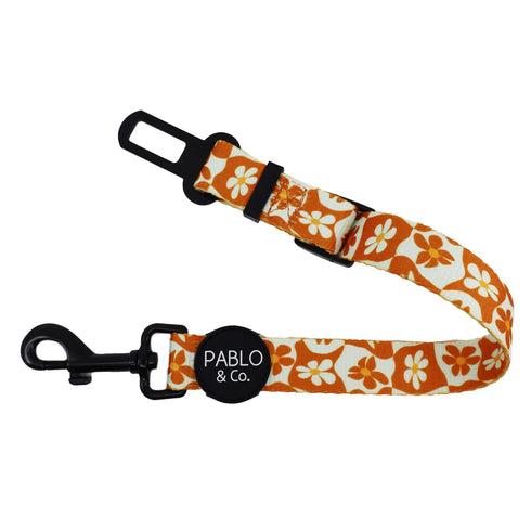 PABLO & CO. CAR RESTRAINT