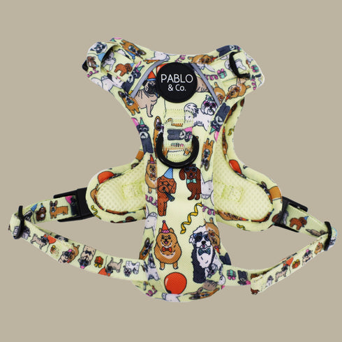 Pablo & Co. PARTY DAWGS No Pull Adventure Dog Harness
