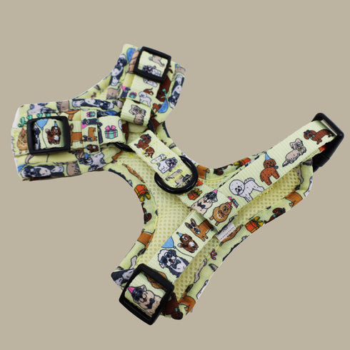 Pablo & Co. PARTY DAWGS Adjustable Dog Harness