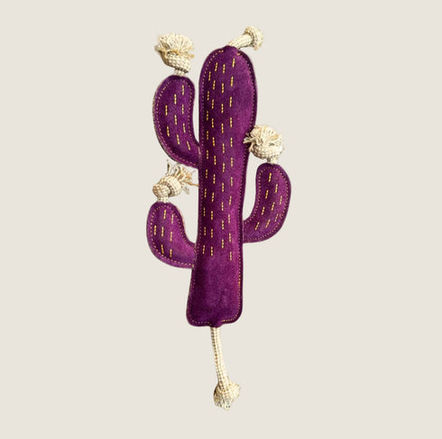 Georgie Paws CACTUS Dog Toy