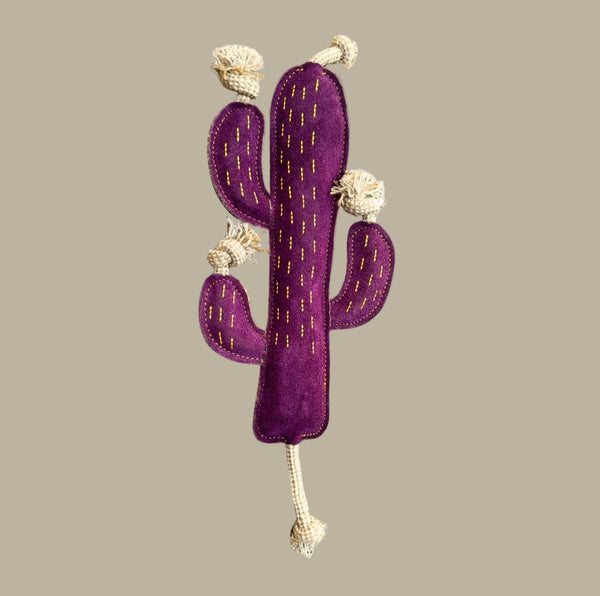 Georgie Paws CACTUS Dog Toy