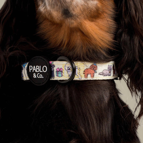 Pablo & Co. PARTY DAWGS Dog Collar