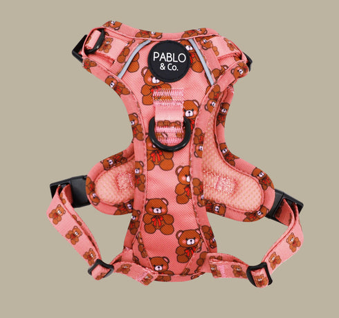 Pablo & Co. TEDDIES No Pull Adventure Dog Harness