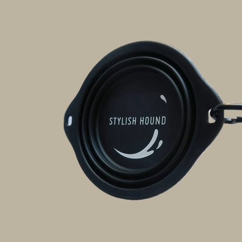 Black Collapsible Water Bowl