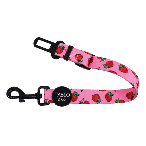 PABLO & CO. CAR RESTRAINT