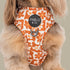 Pablo & Co. RETRO DAZIE Adjustable Dog Harness