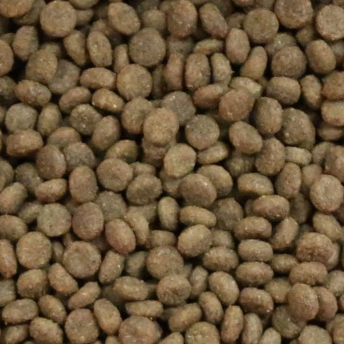 Vetalogica RIVERLAND RED Biologically Appropriate DOG Food