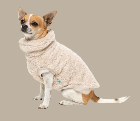 Fuzzyard Turtle Teddy Sweater 2026 – Ultra-Soft Teddy Fleece Dog Jumper - Beige