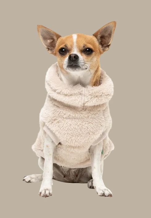Fuzzyard Turtle Teddy Sweater 2026 – Ultra-Soft Teddy Fleece Dog Jumper - Beige