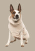Fuzzyard Turtle Teddy Sweater 2026 – Ultra-Soft Teddy Fleece Dog Jumper - Beige