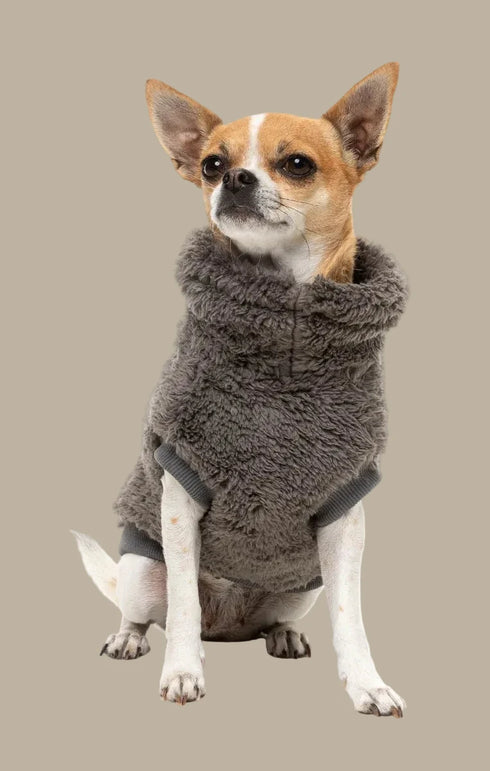 Fuzzyard Turtle Teddy Sweater 2026 – Gunmetal Grey