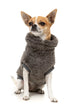 Fuzzyard Turtle Teddy Sweater 2026 – Ultra-Soft Teddy Fleece Dog Jumper - Gunmetal Grey