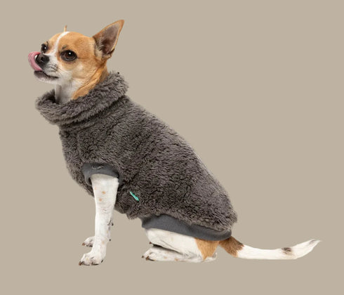 Fuzzyard Turtle Teddy Sweater 2026 – Gunmetal Grey