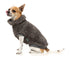 Fuzzyard Turtle Teddy Sweater 2026 – Ultra-Soft Teddy Fleece Dog Jumper - Gunmetal Grey