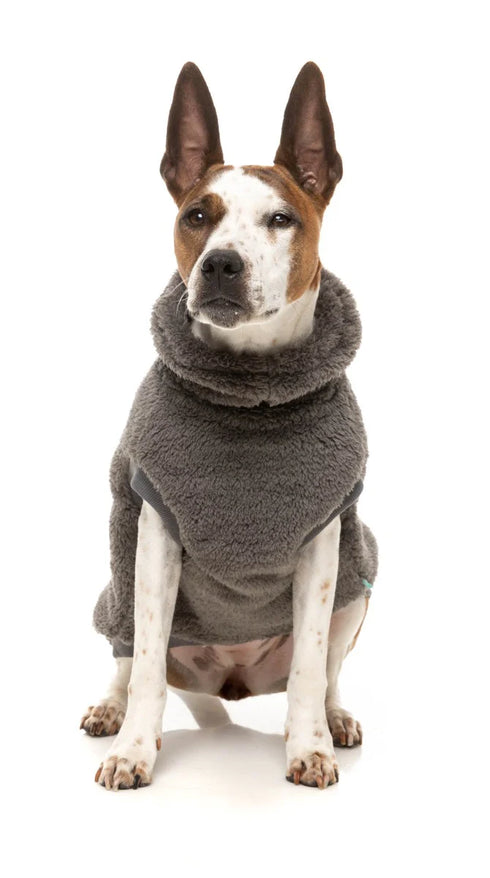 Fuzzyard Turtle Teddy Sweater 2026 – Ultra-Soft Teddy Fleece Dog Jumper - Gunmetal Grey
