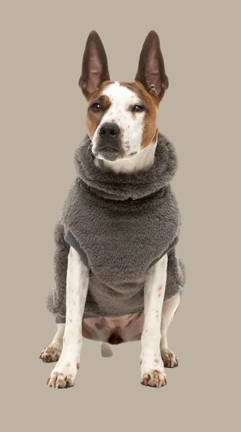 Fuzzyard Turtle Teddy Sweater 2026 – Gunmetal Grey
