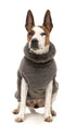 Fuzzyard Turtle Teddy Sweater 2026 – Ultra-Soft Teddy Fleece Dog Jumper - Gunmetal Grey