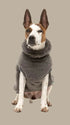 Fuzzyard Turtle Teddy Sweater 2026 – Gunmetal Grey