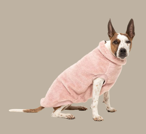 Fuzzyard Turtle Teddy Sweater 2026 – Ultra-Soft Teddy Fleece Dog Jumper - Blossom Pink